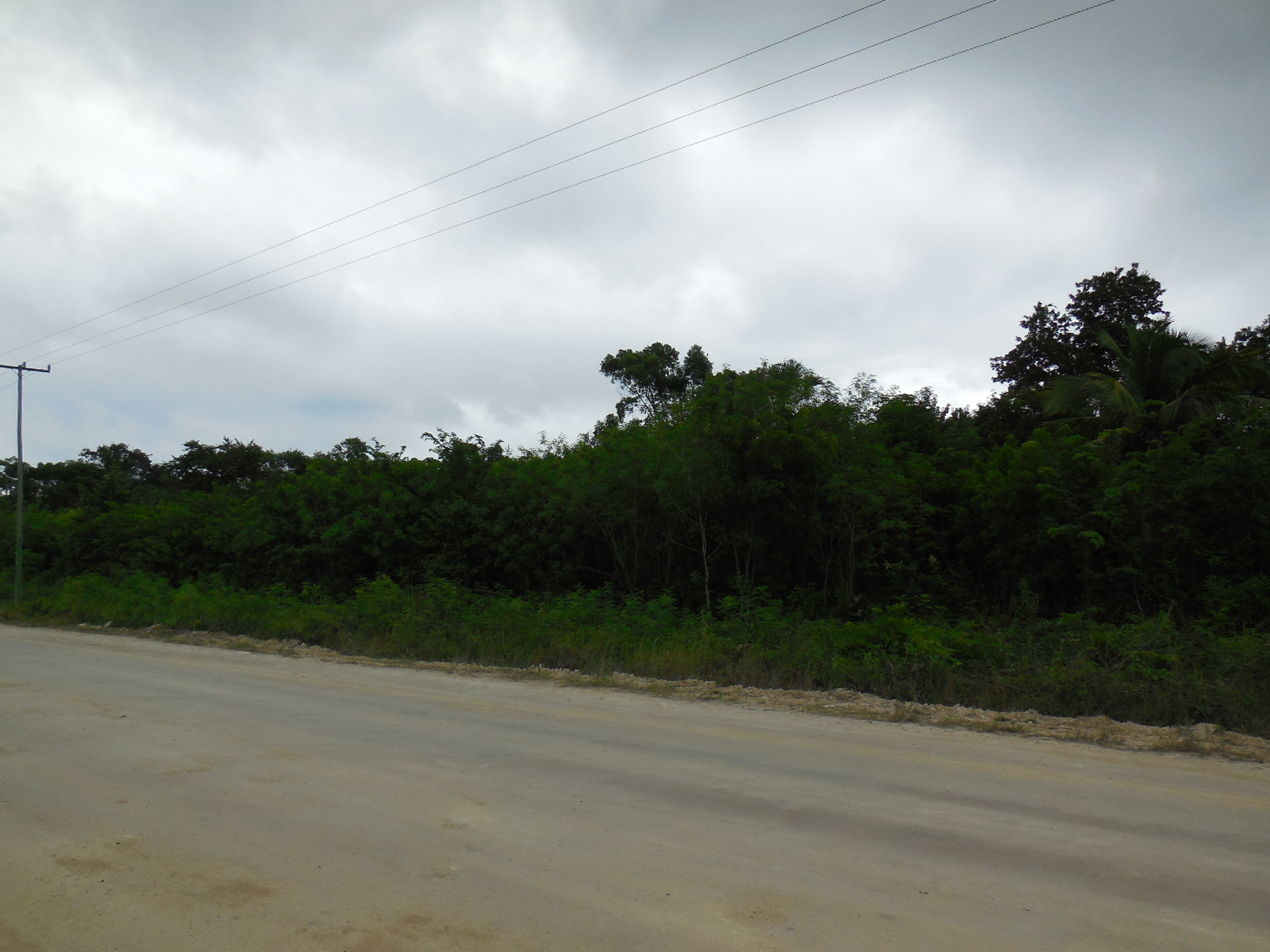 Consejo Road Acreage Lot 1808