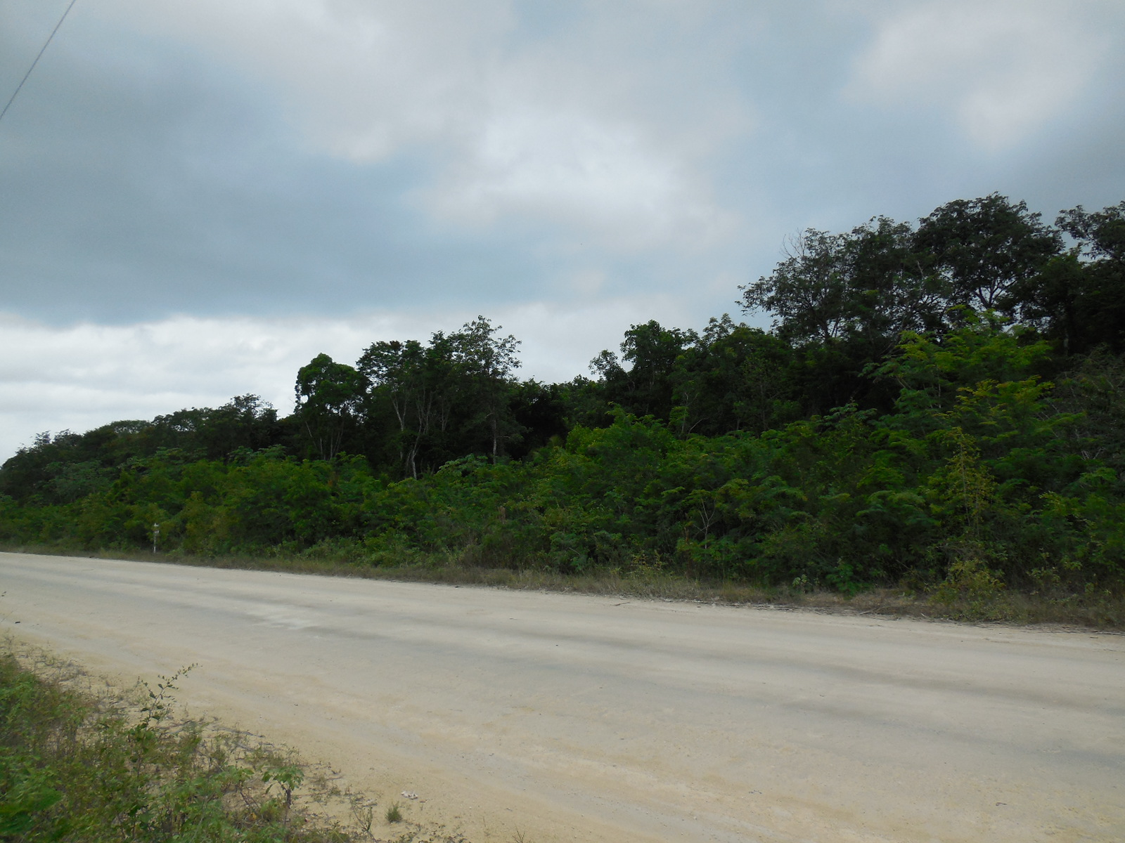 Consejo Road Acreage Lot 116