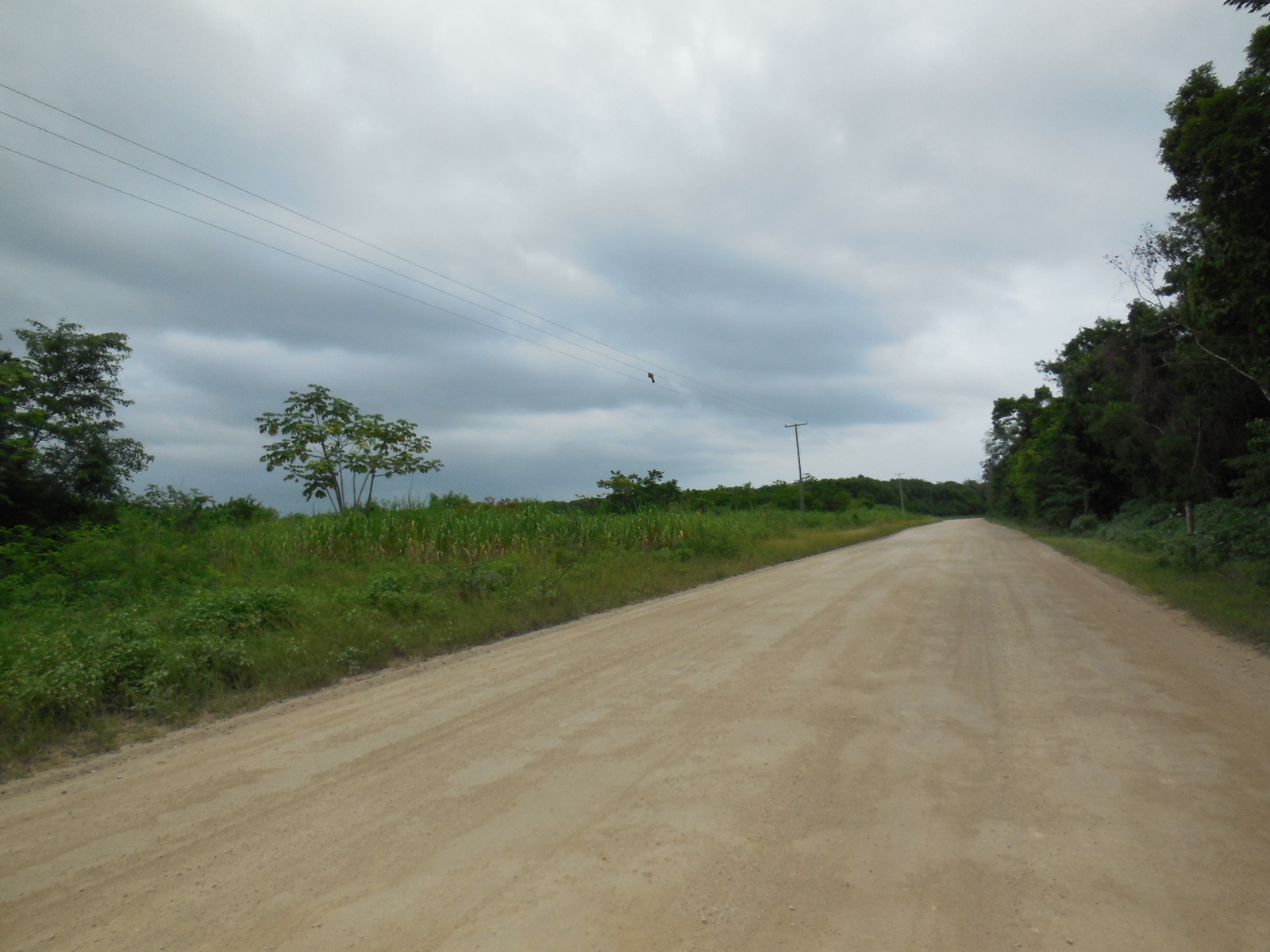 Consejo Road Acreage Lot 1323