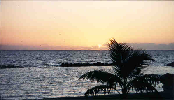 Caribbean Real Estate for Sale Waterfront & Water View