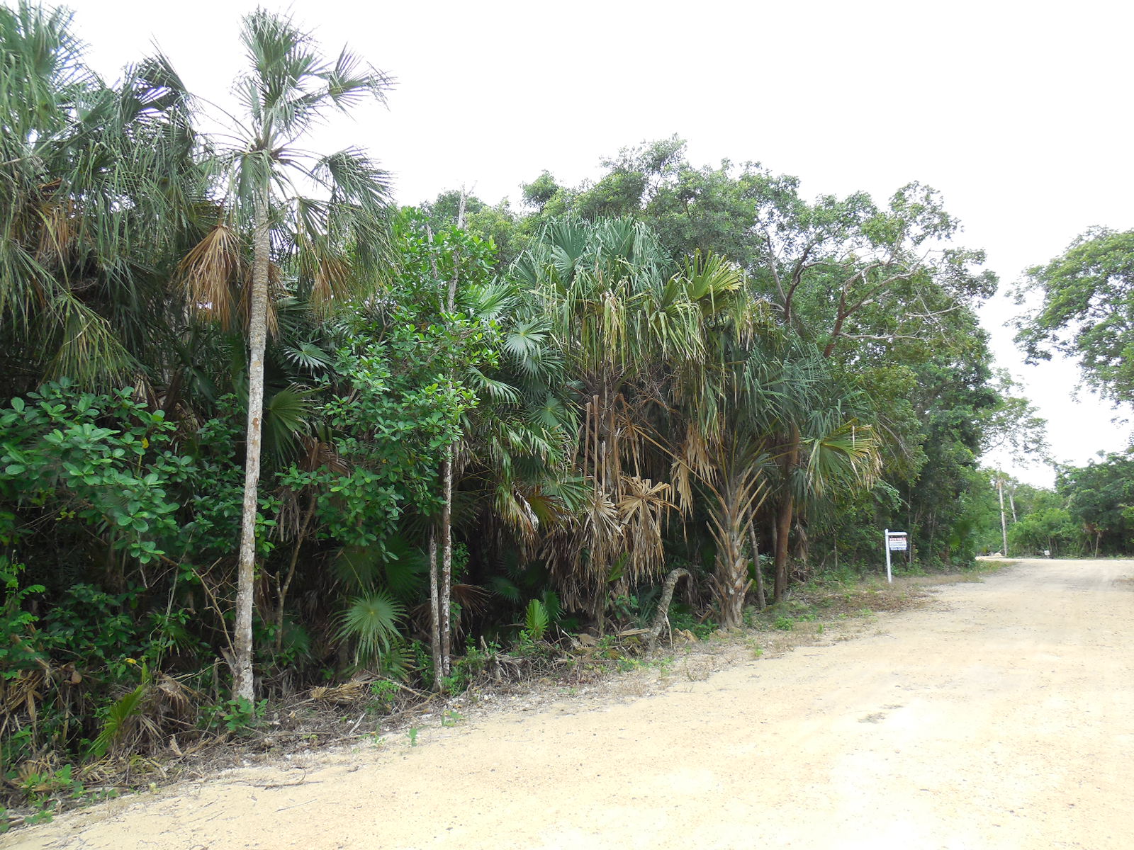 Sunset Villas Lot 23