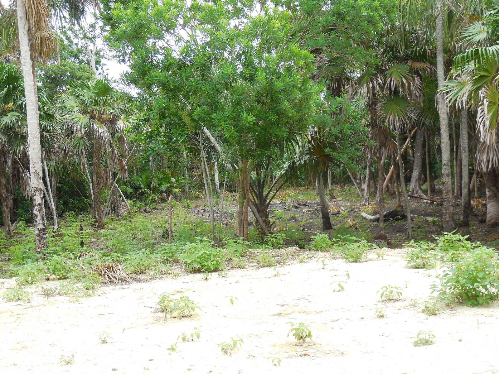 Sunset Villas Lot 23